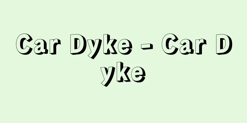 Car Dyke - Car Dyke
