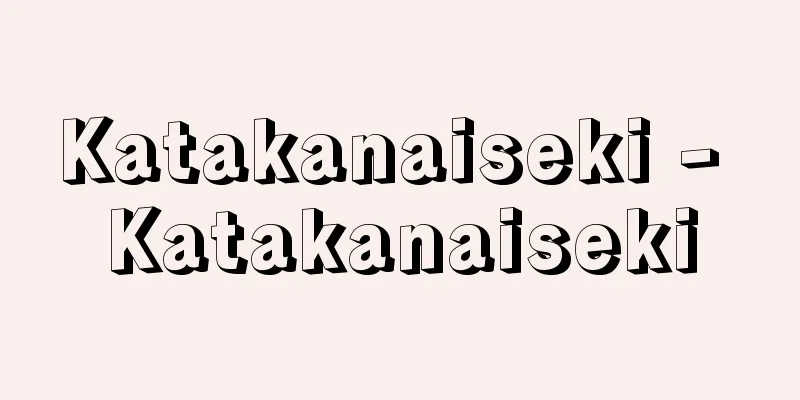 Katakanaiseki - Katakanaiseki