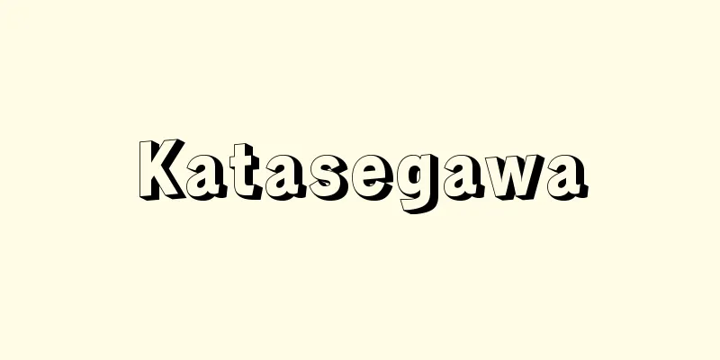 Katasegawa