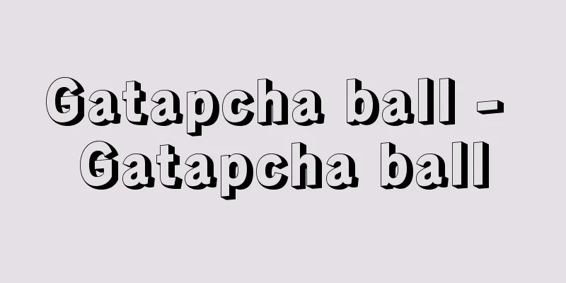 Gatapcha ball - Gatapcha ball