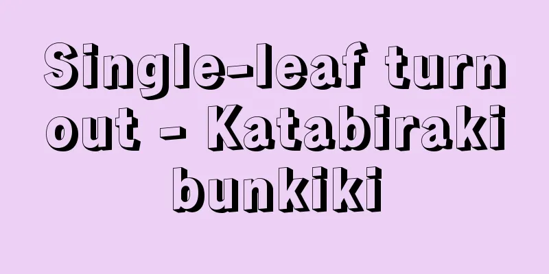 Single-leaf turnout - Katabirakibunkiki