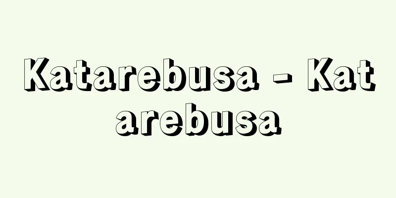 Katarebusa - Katarebusa