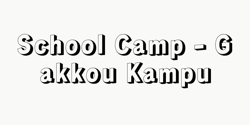 School Camp - Gakkou Kampu