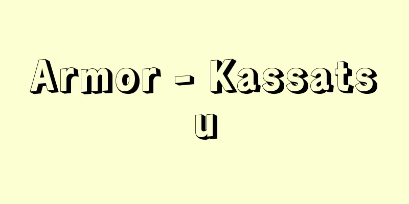 Armor - Kassatsu