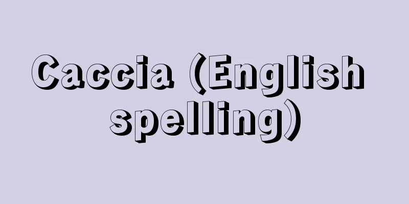 Caccia (English spelling)