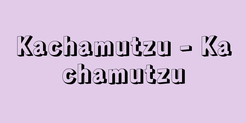 Kachamutzu - Kachamutzu