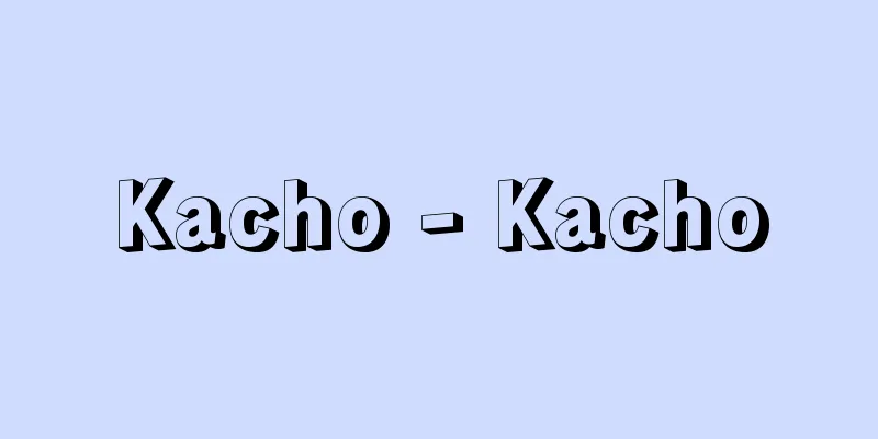 Kacho - Kacho