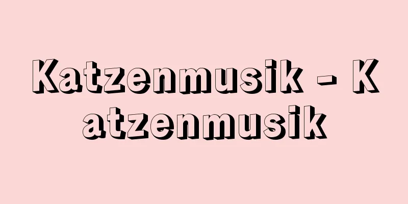 Katzenmusik - Katzenmusik