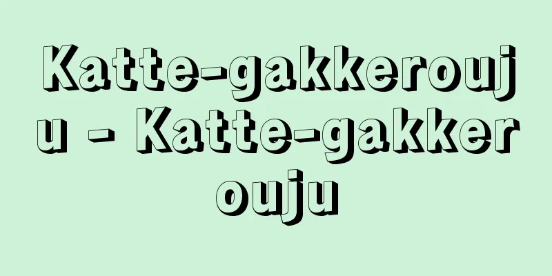 Katte-gakkerouju - Katte-gakkerouju