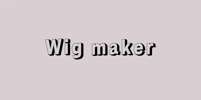 Wig maker