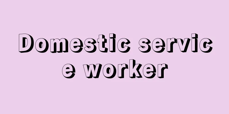 Domestic service worker