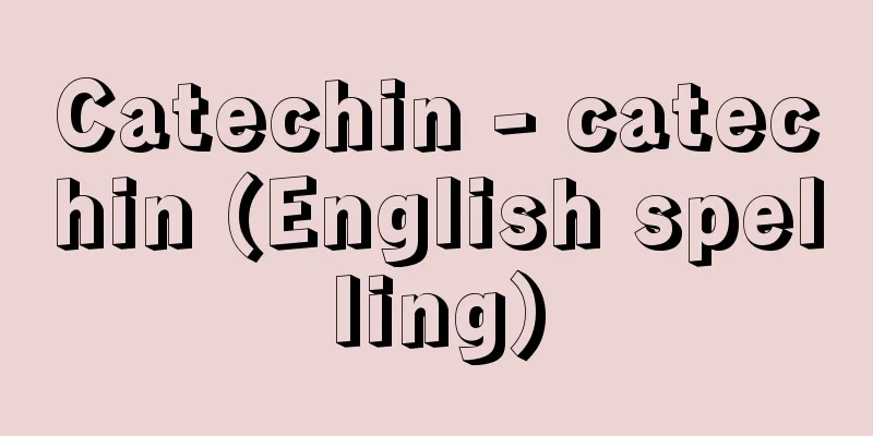Catechin - catechin (English spelling)