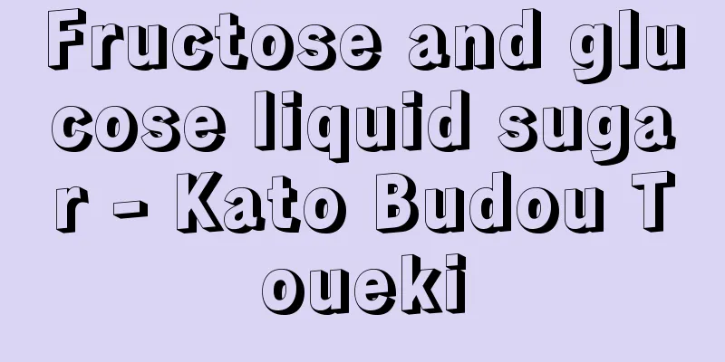 Fructose and glucose liquid sugar - Kato Budou Toueki