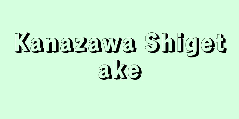 Kanazawa Shigetake