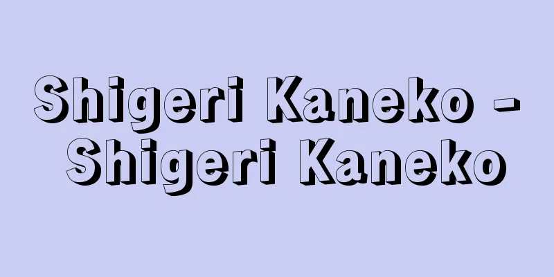 Shigeri Kaneko - Shigeri Kaneko