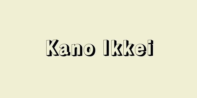 Kano Ikkei