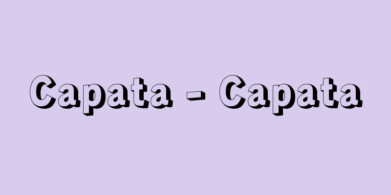 Capata - Capata
