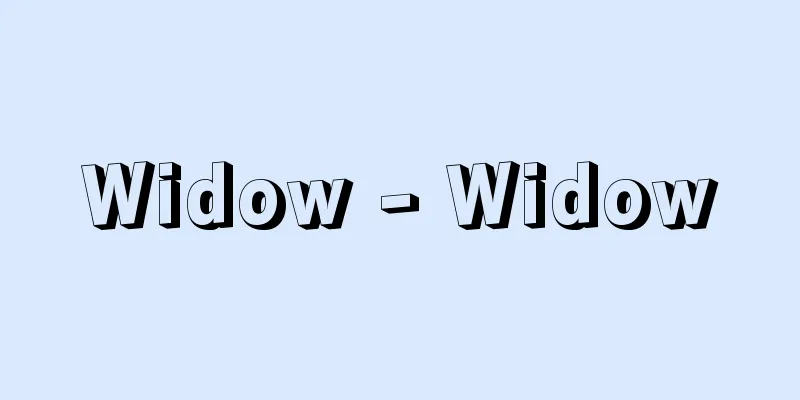 Widow - Widow