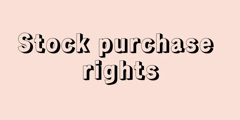 Stock purchase rights