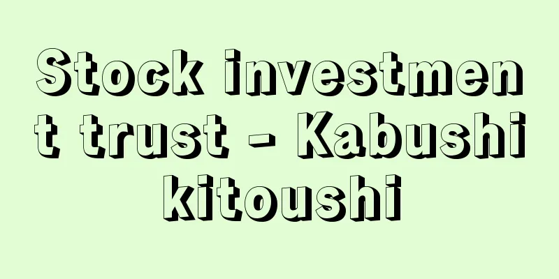Stock investment trust - Kabushikitoushi