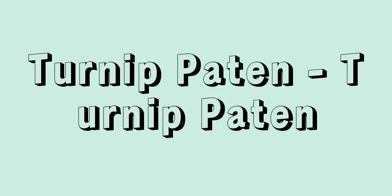 Turnip Paten - Turnip Paten