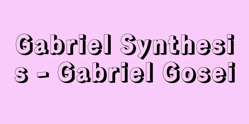 Gabriel Synthesis - Gabriel Gosei