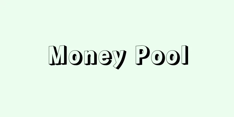 Money Pool
