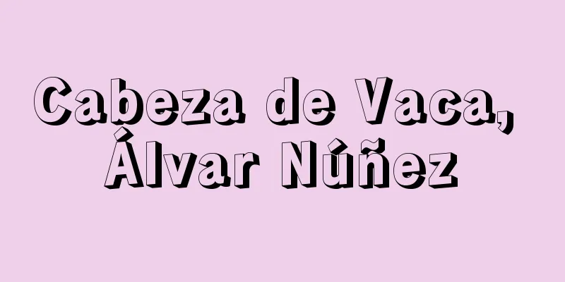 Cabeza de Vaca, Álvar Núñez