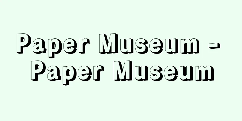 Paper Museum - Paper Museum