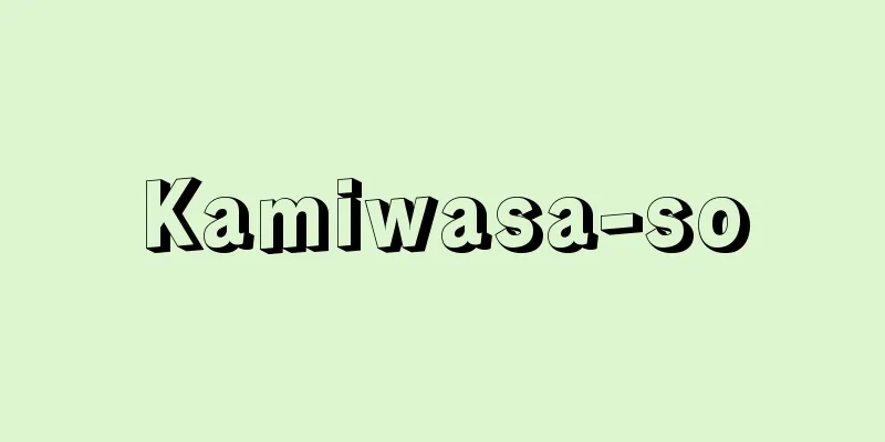 Kamiwasa-so