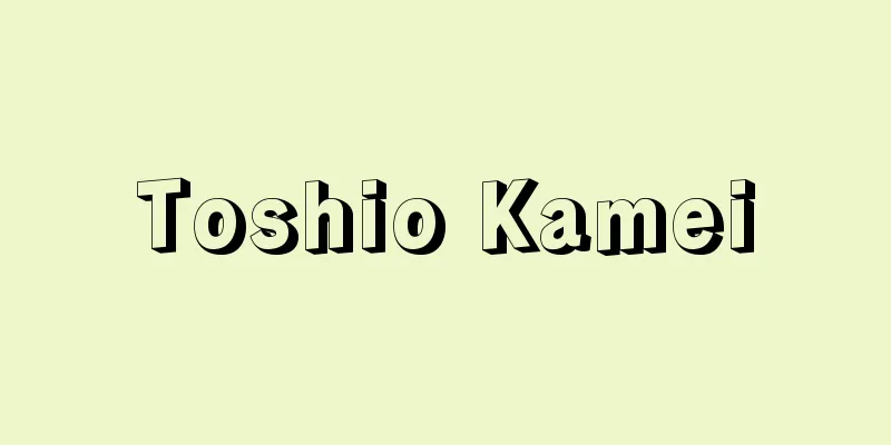 Toshio Kamei