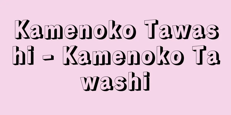 Kamenoko Tawashi - Kamenoko Tawashi