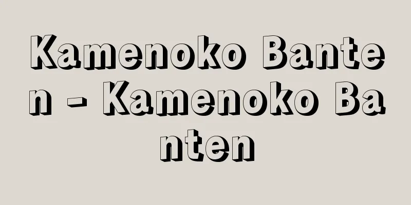 Kamenoko Banten - Kamenoko Banten