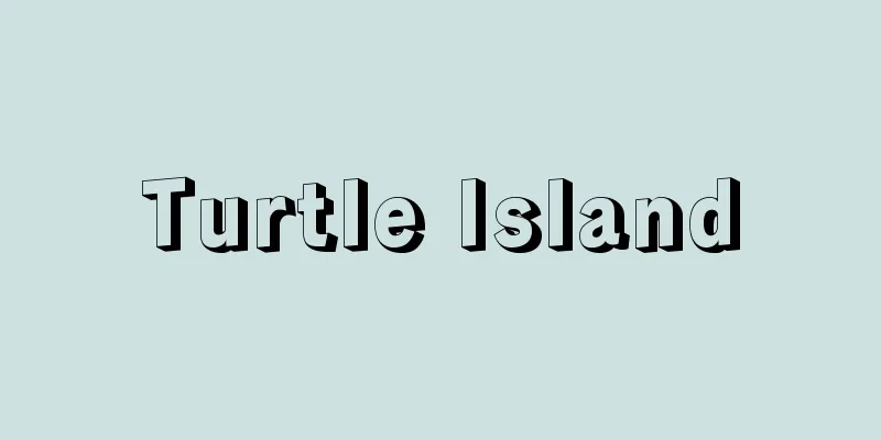 Turtle Island