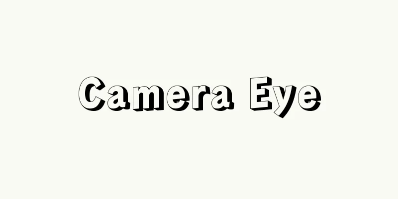 Camera Eye