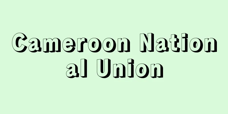 Cameroon National Union