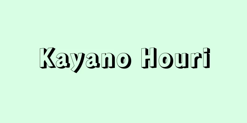 Kayano Houri