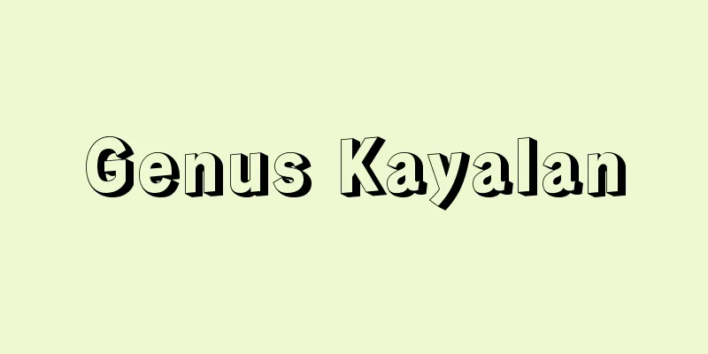 Genus Kayalan