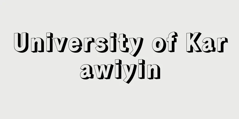 University of Karawiyin