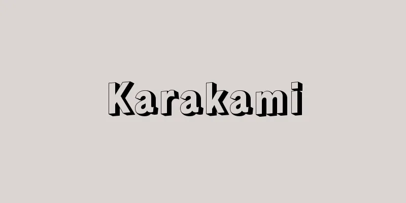 Karakami