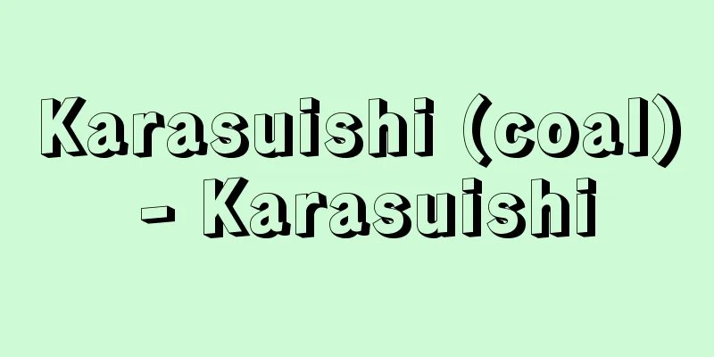 Karasuishi (coal) - Karasuishi