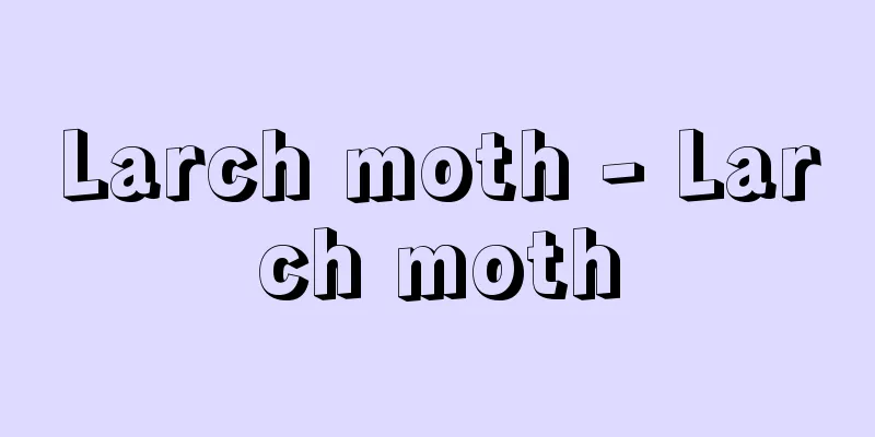 Larch moth - Larch moth