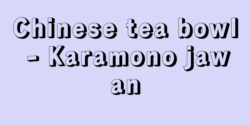 Chinese tea bowl - Karamono jawan