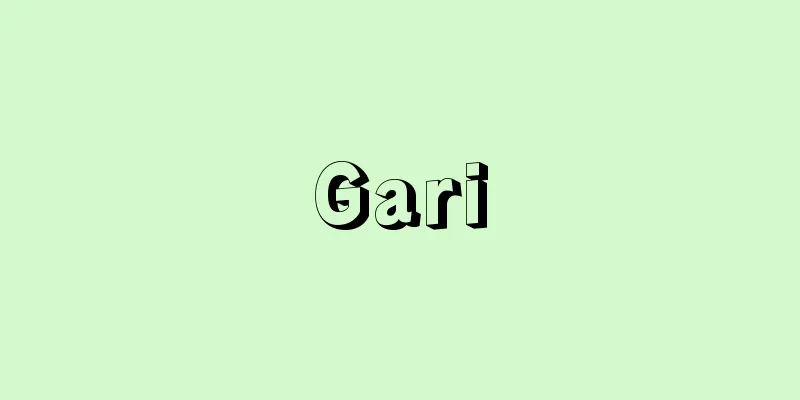 Gari