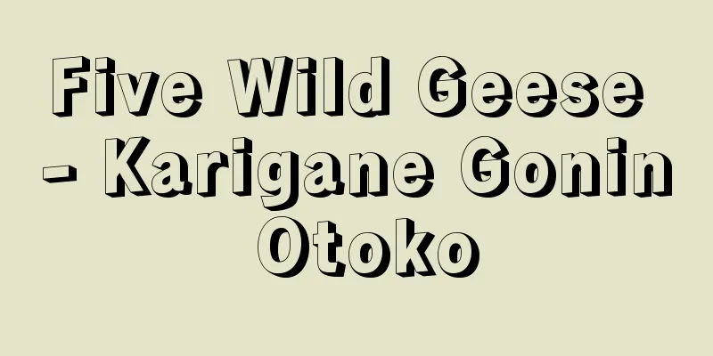 Five Wild Geese - Karigane Gonin Otoko