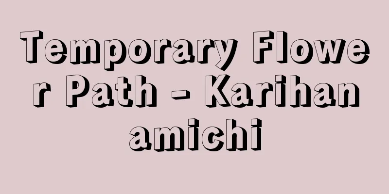 Temporary Flower Path - Karihanamichi