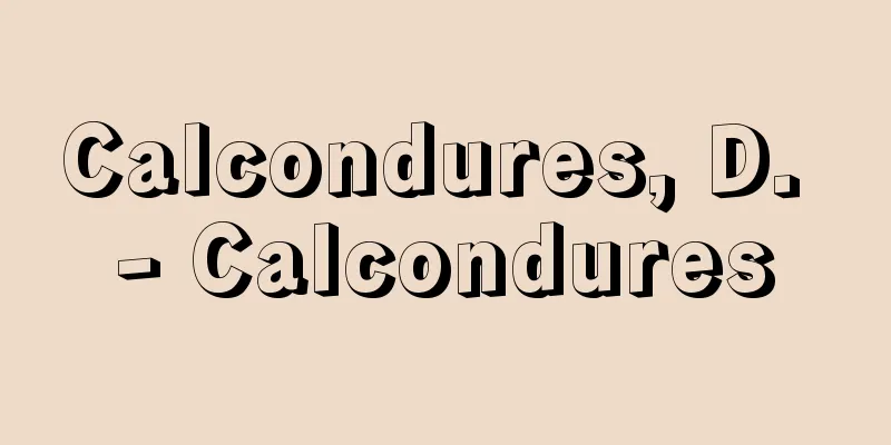 Calcondures, D. - Calcondures