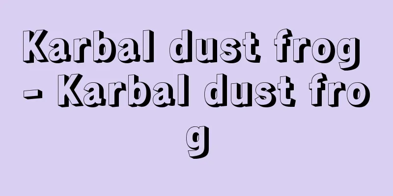 Karbal dust frog - Karbal dust frog