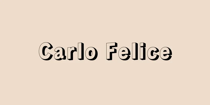 Carlo Felice
