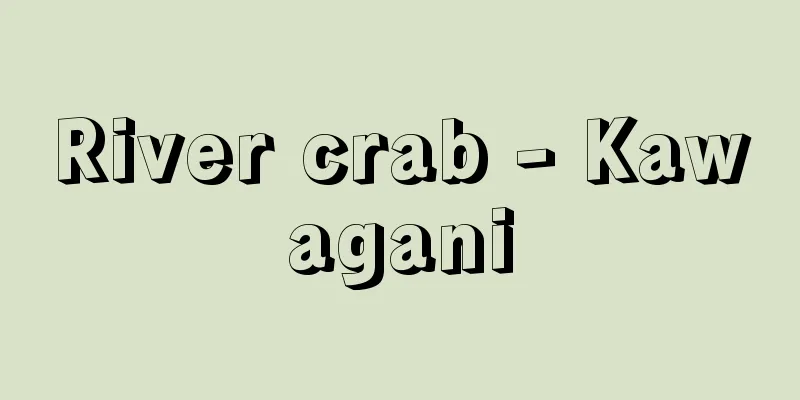 River crab - Kawagani